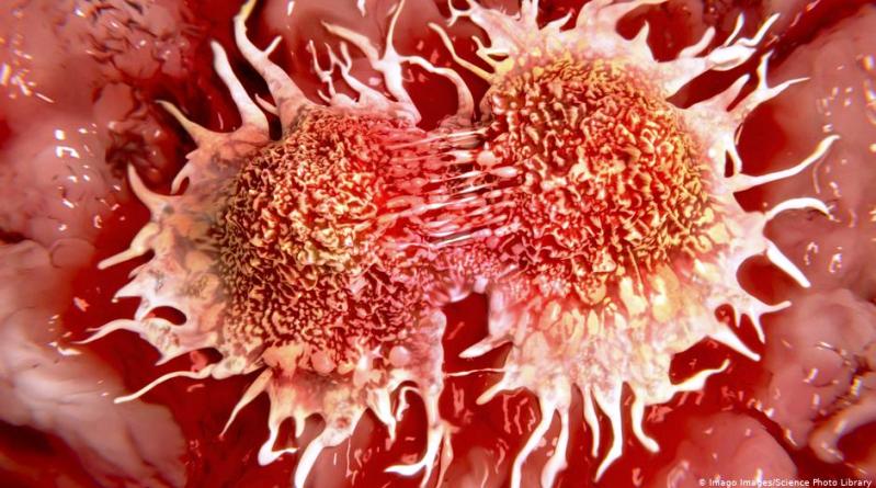 علماء يكتشون نقطة ضعف في خلايا “السرطان”.. هل أقتربنا من العلاج؟