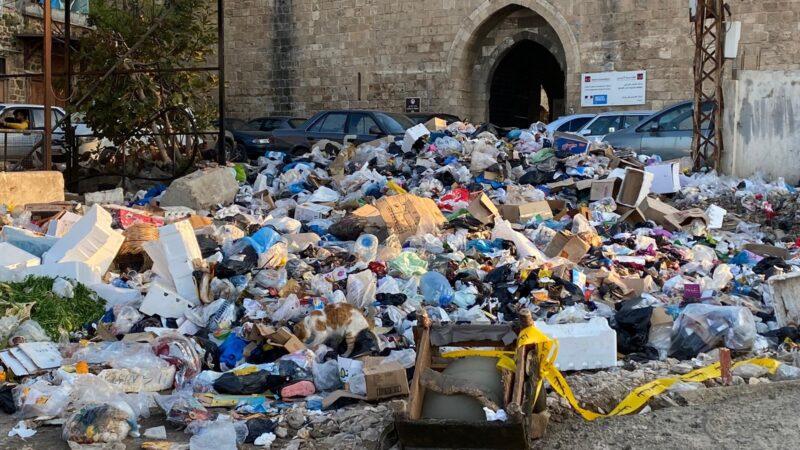 اسامة سعد كلف لجنة من التنظيم لمتابعة أزمة النفايات وتنفيذ خطة على مرحلتين لرفعها