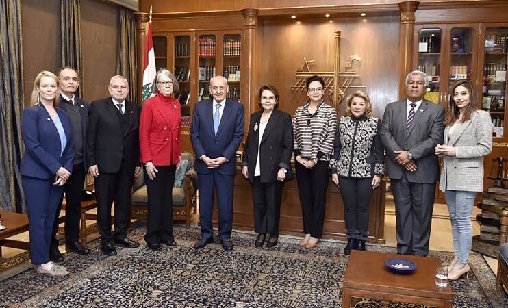 بري التقى رئيسة الإتحاد الدولي لجمعيات الصليب والهلال الأحمر