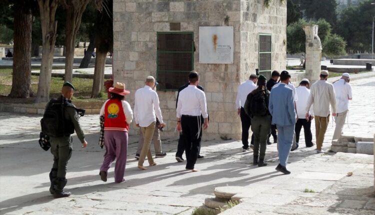 مستوطنون يقتحمون مدناً بالضفة في عيد الفصح اليهودي بحماية الجيش
