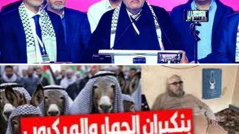 خرجة بنكيران التي اغضبت المغاربة واخرجت مشاهيرا عن صمتهم ، ابرز الردود على وصف بنكيران للمغاربة بالحمير والميكروبات