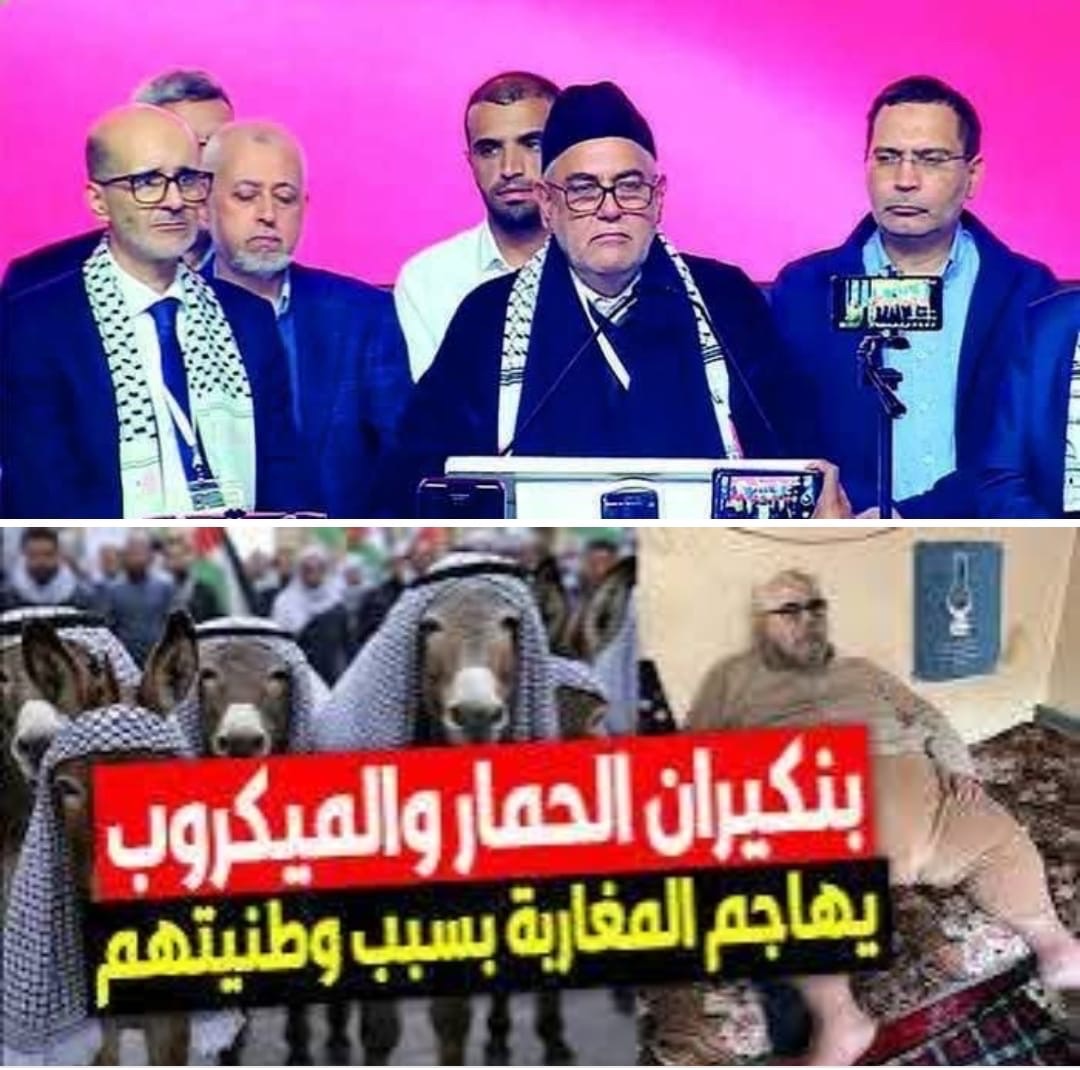 خرجة بنكيران التي اغضبت المغاربة واخرجت مشاهيرا عن صمتهم ، ابرز الردود على وصف بنكيران للمغاربة بالحمير والميكروبات