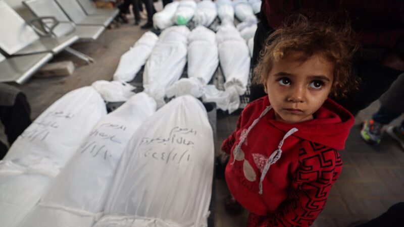 طبيب إسرائيلي : قتل فلسطينيي غزة كالقضاء على الصراصير والتخلص من مشكلة صحية عامة!