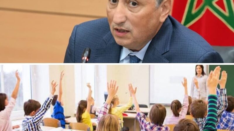 ما لا تعرفون عن “خلايا اليقظة” التي انشأتها وزلرة برادة وهكذا ترفع من جودة التعليم وتنشئ أجيالا قادمة متعلمة مؤهلة .