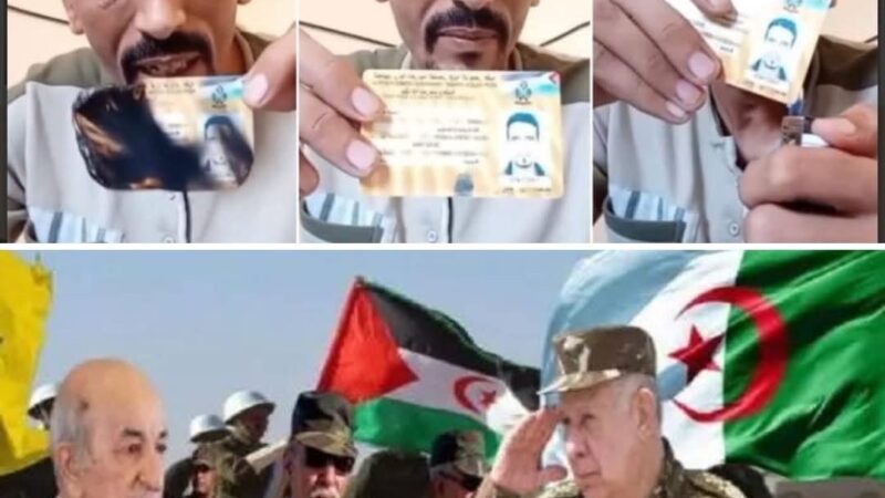 هل بداية نهاية البوليزاريو بعد الاحداث الاخيرة التي يشهدها والضربات الموجعة التي يوجهها له المغرب باستمرار ؟