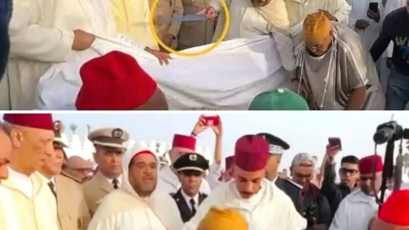 في قرار جريء وفي محله ، وبعد الضجة التي احدثها تصرف الواليين .وزارة الداخلية تتدخل وتعاقب كبار مسؤوليها .