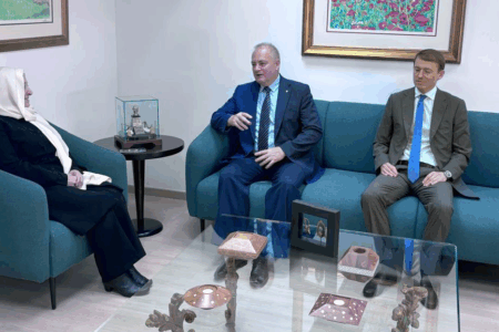 بهية الحريري استقبلت روداكوف