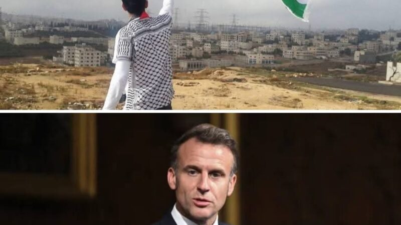 هكذا تفاعل العالم مع قرار الرئيس الفرنسي الإعتراف بالدولة الفلسطينية والذي صدم اسرائيل و امريكا .