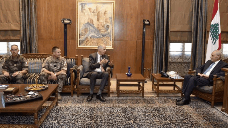 بري عرض الاوضاع مع الممثّل  الغرنسي في لجنة الإشراف على تطبيق وقف إطلاق النارواستقبل نقيب اطباء لبنان على رأس وفد