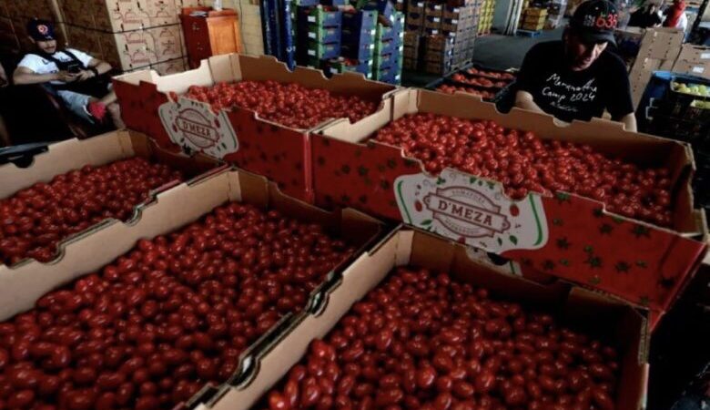 رسوم أميركية بنسبة 17% على واردات الطماطم (البندورة) المكسيكية
