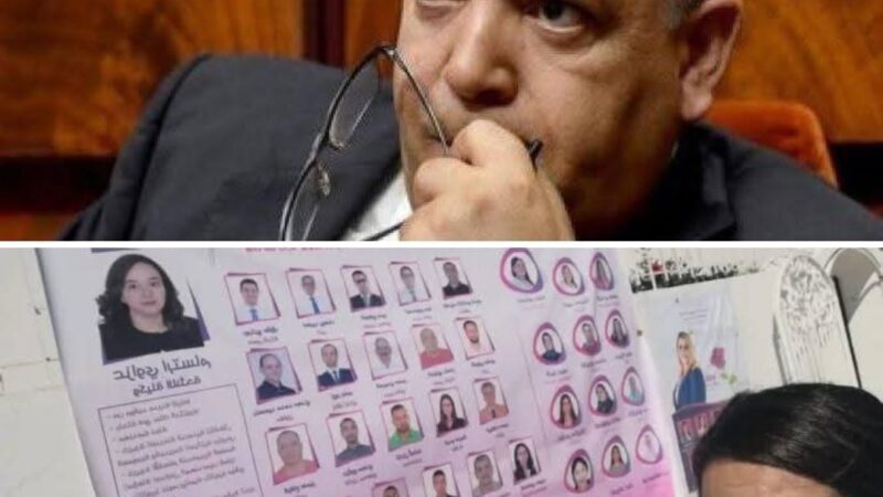 سياسي قيدوم يقترح حلا سحريا لإنجاح الاستحقاقات الانتخابية القادمة لكنه محاط بالاشواك وقد لا يرى النور لهذه الأسباب .