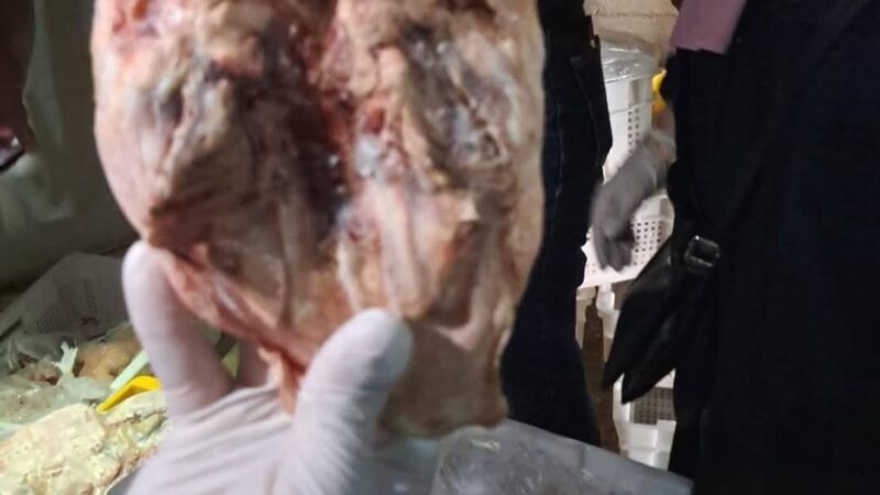 بلدية طرابلس ووزارة الاقتصاد والتجارة