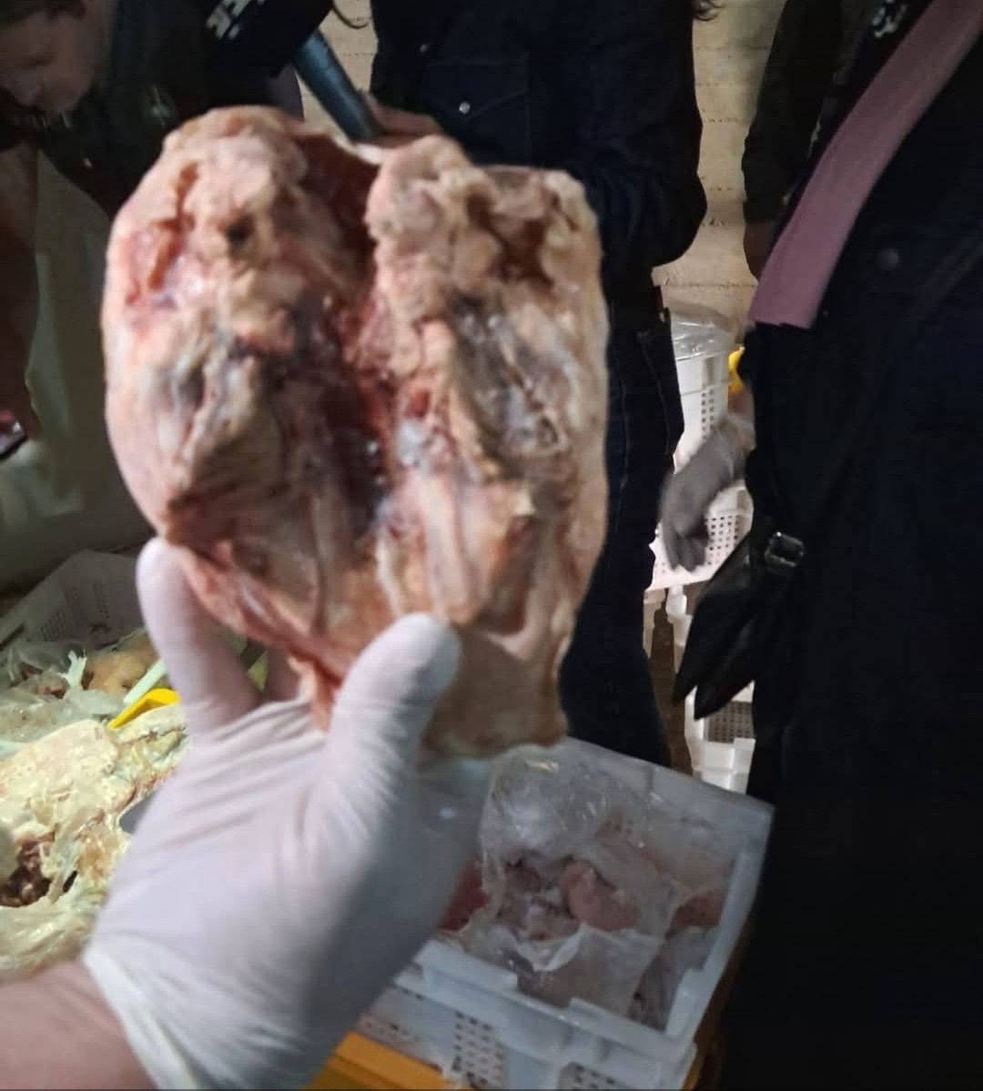 بلدية طرابلس ووزارة الاقتصاد والتجارة