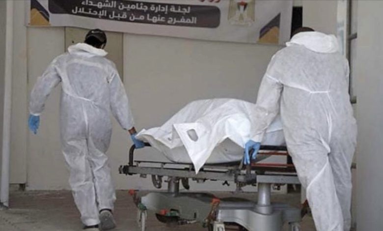 الكشف الطبّي يظهر إعدام إسرائيل أسرى غزة شنقاً وبالرصاص
