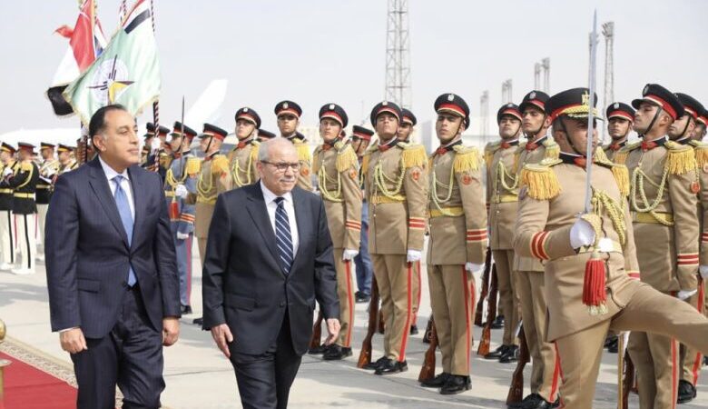 سلام التقى رئيس جمهورية ألمانيا في مصر: ماضون في تنفيذ خطة حصر السلاح بيد الدولة