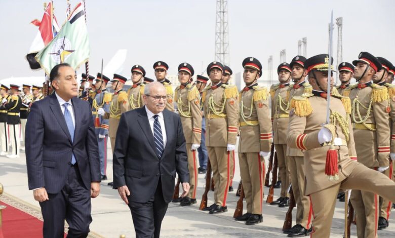 سلام التقى رئيس جمهورية ألمانيا في مصر: ماضون في تنفيذ خطة حصر السلاح بيد الدولة