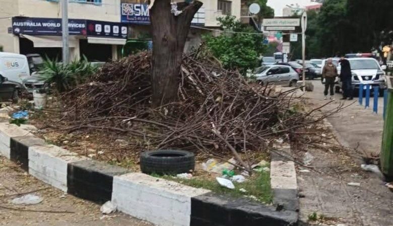 بلدية طرابلس تنظم محضر ضبط بحق مخالف قطع شجرة وتوقيف متعهّد أشغال في القبة عن العمل