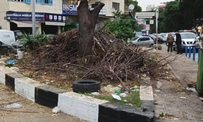 بلدية طرابلس تنظم محضر ضبط بحق مخالف قطع شجرة وتوقيف متعهّد أشغال في القبة عن العمل