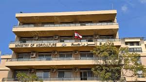 وزارة الزراعة: 744 مخالفة خلال الـ2025 في الأحراج ضمن حملات الرقابة والمتابعة