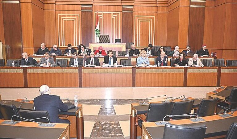 كنعان يرفع الصوت بعد لجنة المال بوجه المجالس والهيئات: هنا الهدر فأين إعادة الهيكلة؟!