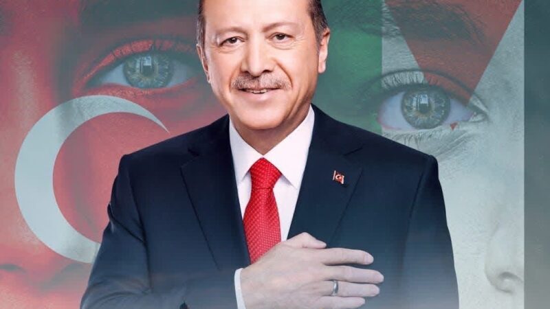 خبير أمريكي:لقد تأخرنا في فهم أردوغان، وسندفع الثمن!