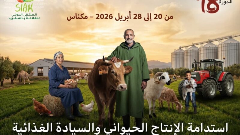 العاصمة الإسماعيلية تحتضن دورة جديدة من المعرض الدولي للفلاحة ، تعرفوا على ابرز مستجداتها .