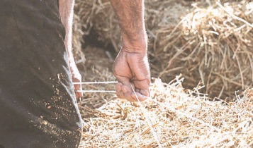 “الزراعة” و”الفاو” أطلقتا مشروعًا ممولًا من اليابان لتعزيز التعافي وصمود النظم الزراعية والغذائية