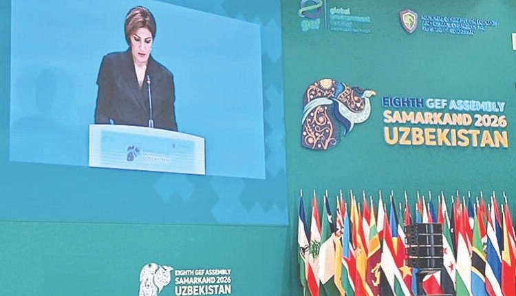 الزين من أوزبكستان:لبنان ثابت بالتزامه البيئي وماض بمبادراته