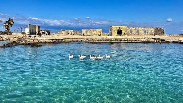 بيان صادر عن جمعية تراث طرابلس – لبنان