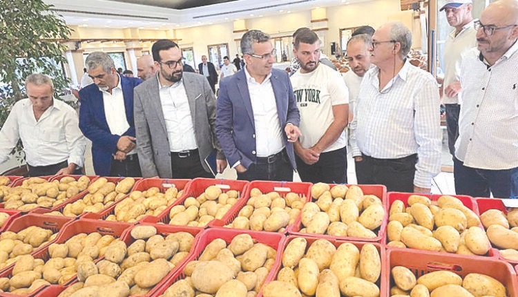 إطلاق صنف البطاطا الجديد “فاجا” في سرعين برعاية الوزير هاني وبمبادرة من النائب ضاهر
