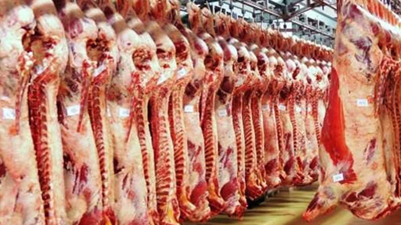نقابة القصابين وتجار المواشي : الرسوم البيئية ترفع كلفة الإنتاج وتُشعل الأسعار